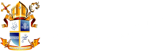Diocese de Lins